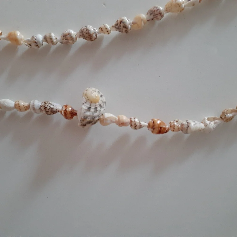 Shell Necklace - Picture 5 of 8